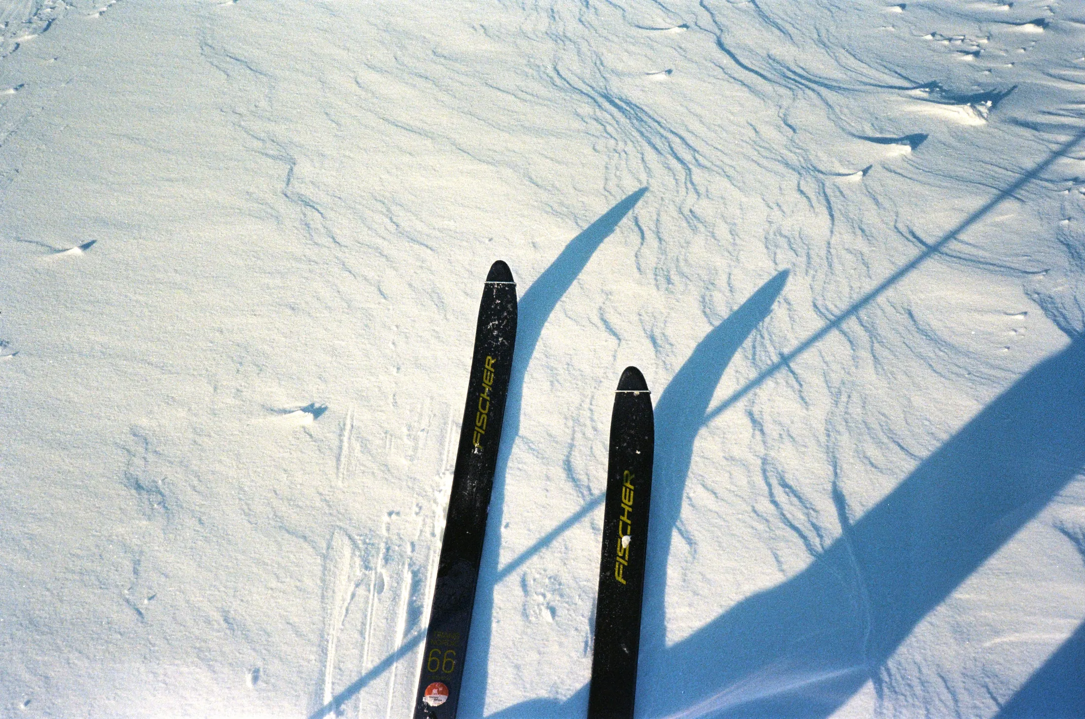 Ski sur 80° Nord