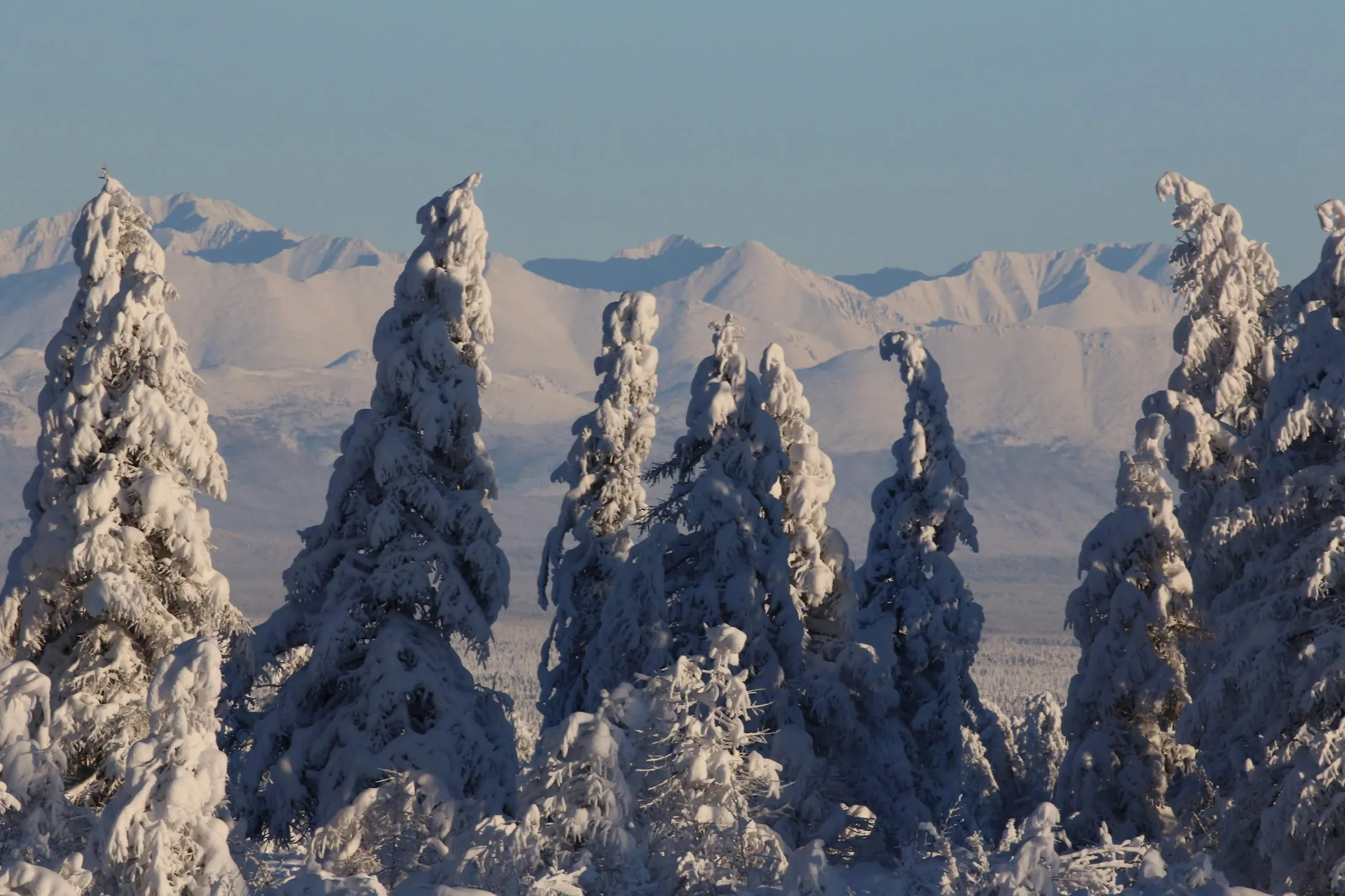 Greenland expedition landscape